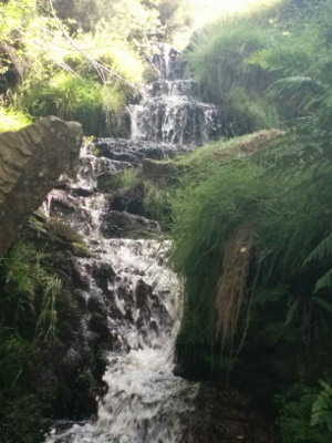 “Brontë Waterfall”